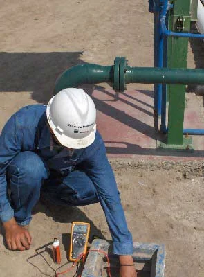 Project: SAVIA PERU S.A. 2012